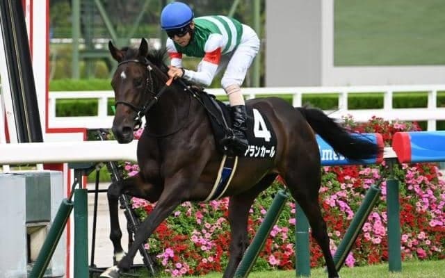 【阪神JF予想オッズ】アランカールが予想1番人気