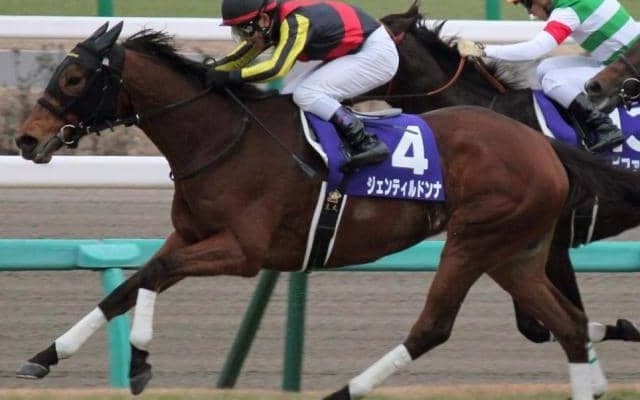 中山でも強かったジェンティルドンナ 14年有馬記念で見せたラストラン