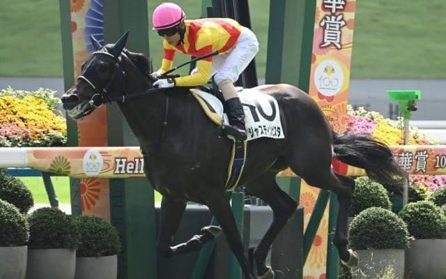 【ホープフルS想定】ジャスティンビスタ、アンドゥーリルなど13頭