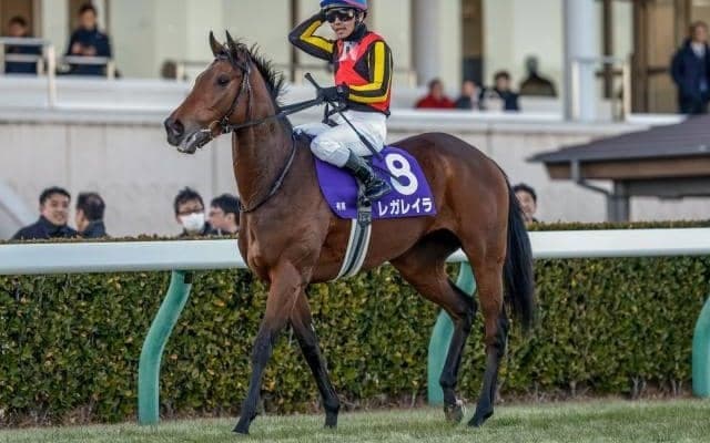 【有馬記念想定】レガレイラ、メイショウタバルなど18頭