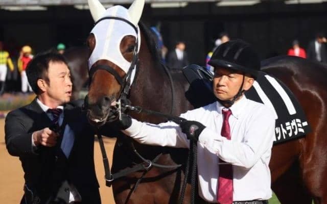 【阪神JF】武豊騎手が31年ぶりの2勝目なるか マーゴットラヴミーと初コンビで挑む