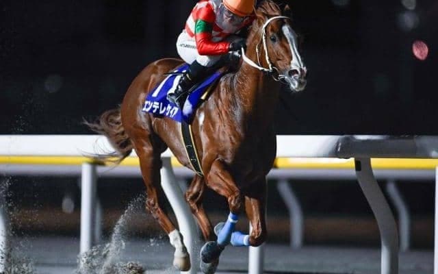 【船橋・船橋記念結果】エンテレケイアが逃げ切って重賞5勝目を挙げる