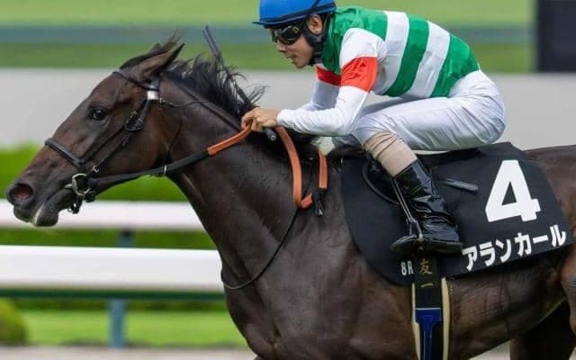 【阪神JF】母は名牝シンハライト アランカールが無傷3連勝狙う