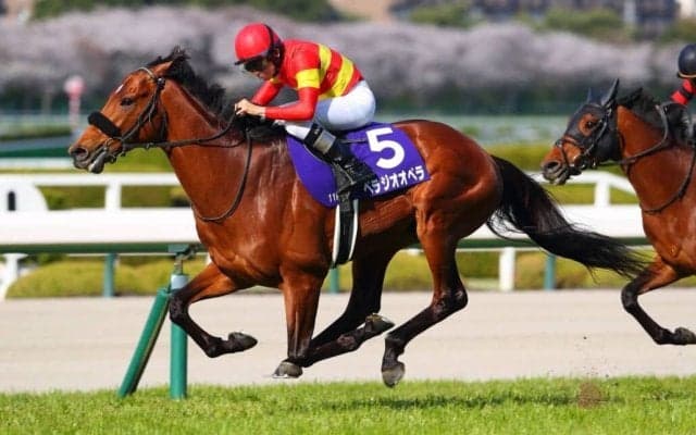 【香港国際競走】JRA勢、最終調整完了…充実の動きで本番へ万全の構え