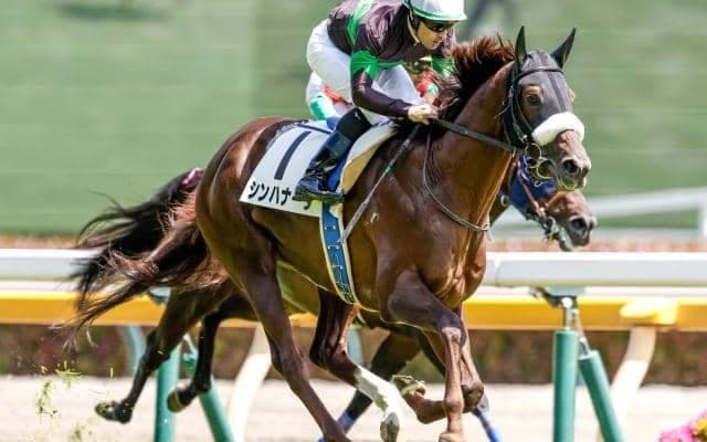 【中日新聞杯出走馬・騎手確定】シンハナーダ＆鮫島克駿騎手、ファミリータイム＆松山弘平騎手など18頭