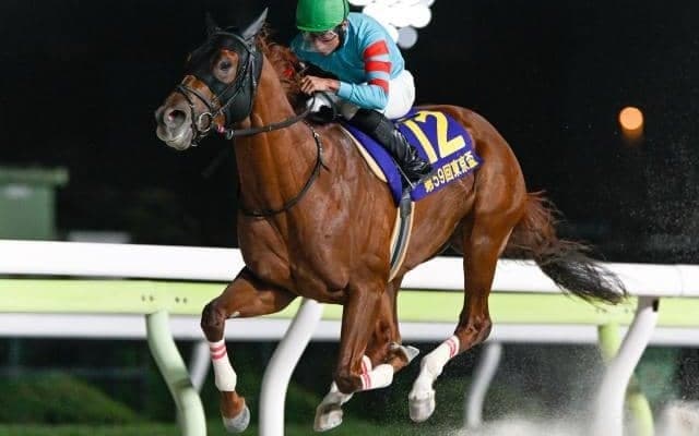 【カペラS出走馬・騎手確定】ヤマニンチェルキ＆岩田望来騎手、テーオーエルビス＆鮫島克駿騎手など16頭