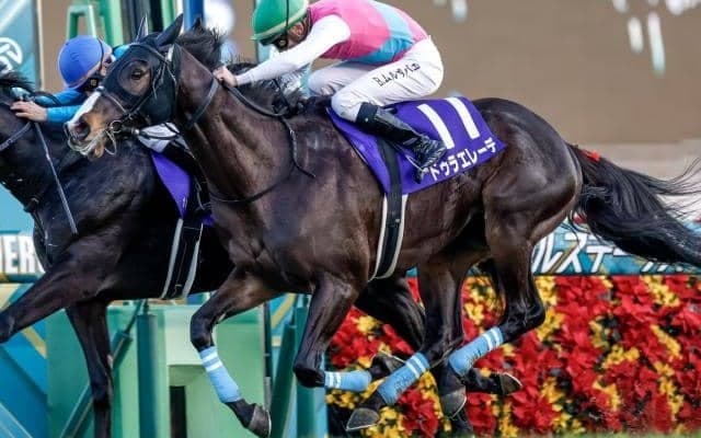 ドゥラエレーデが種牡馬入りへ 22年のホープフルS覇者