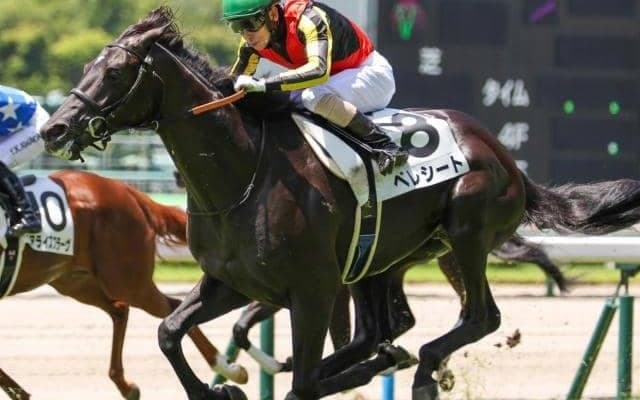 【エリカ賞】母は名牝クロノジェネシス ベレシートがデビュー2連勝めざす