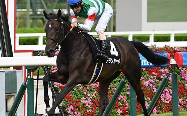 【阪神JF枠順確定】アランカールは2枠4番、マーゴットラヴミーは4枠7番