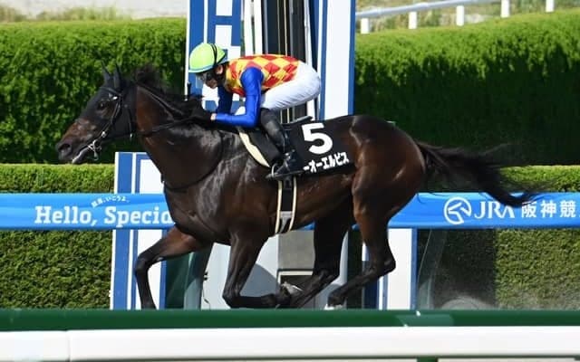 【カペラS枠順確定】テーオーエルビスは2枠4番、ヤマニンチェルキは8枠16番