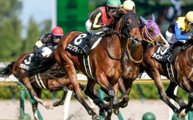 【ターコイズS想定馬・騎手】ウンブライル、ボンドガールなど20頭