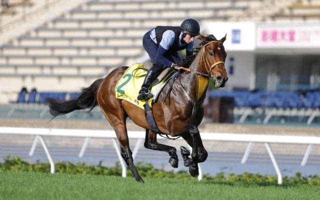 【香港国際競走】ベラジオオペラ、サトノレーヴらJRA勢が現地で最終調整…各馬の枠順にも前向きな声