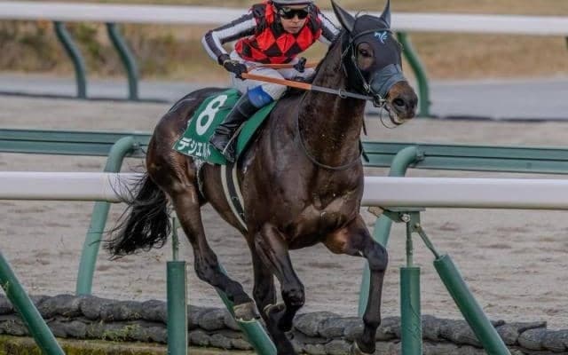 【中日新聞杯】前走芝2000mのリステッドorオープン特別組が良績残す