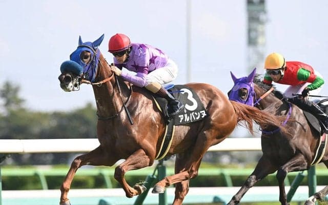 【競馬予想】阪神JFで注目したい血統は？　重賞勝ち馬ナシのレースでニュースターになりそうな２頭をピックアップ