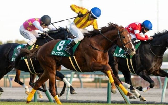 【中日新聞杯】シェイクユアハート、待望の重賞初制覇