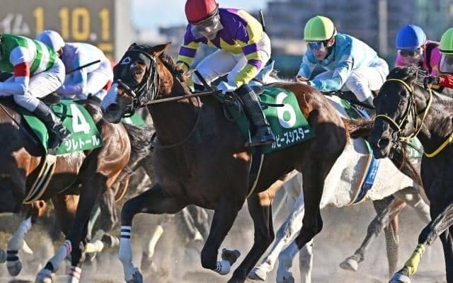 【カペラS予想】スピードや馬力に勝る牡馬、セン馬に良績集中！ 牝馬は前走の結果が好走の鍵を握る
