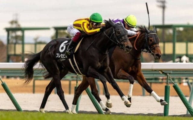 【つわぶき賞】伏兵プレセピオが抜け出す…白毛馬マルガは3着