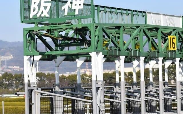 セレクト2.6億円のエピファネイア産駒 ページターナーが阪神でデビュー勝ち狙う