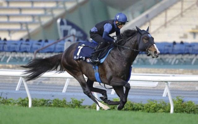 【香港国際競走】引退レースのソウルラッシュ、香港で有終の美なるか…JRA勢が自信の最終調整