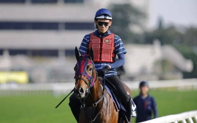 【香港マイル】二冠牝馬エンブロイダリーは10番ゲートから
