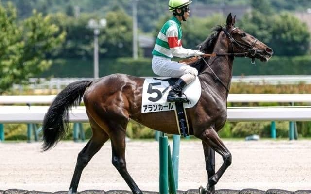 【今日の注目ポイント】阪神JFでアランカールが無傷戴冠を狙う