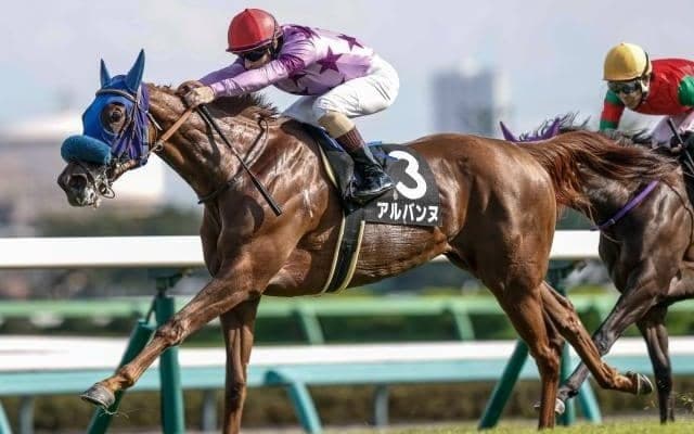 【阪神JF予想】将来性を含めて考えたい2歳女王決定戦