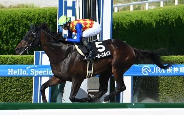 【カペラS予想】JRA唯一のダ1200m重賞 スピード能力を最優先に