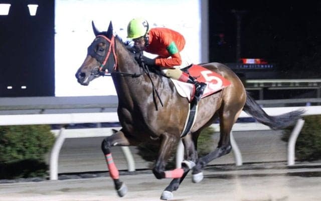 【高知・玉島特別】永森大智「やっと蛙になれました」…オタマジャクシが3連勝