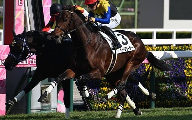 【阪神5R新馬戦結果】断然人気のページターナーが追い比べを制す エピファネイア産駒