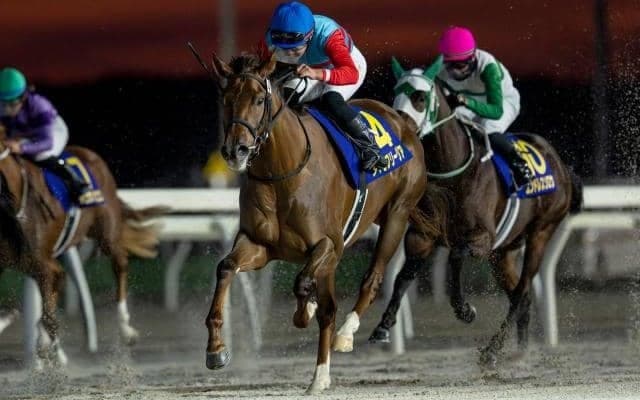 【川崎・全日本2歳優駿枠順】JBC2歳優駿覇者タマモフリージアは1枠1番、無傷4連勝中のベストグリーンは5枠5番