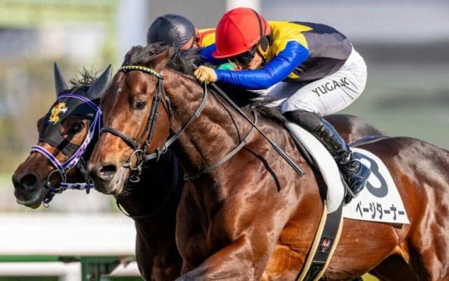 【新馬/阪神5R】2億円ホース、単勝1.3倍ページターナーが断然の支持に応える