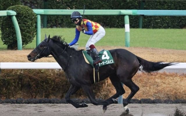 【カペラS】テーオーエルビスが4連勝…ダート短距離路線に新星