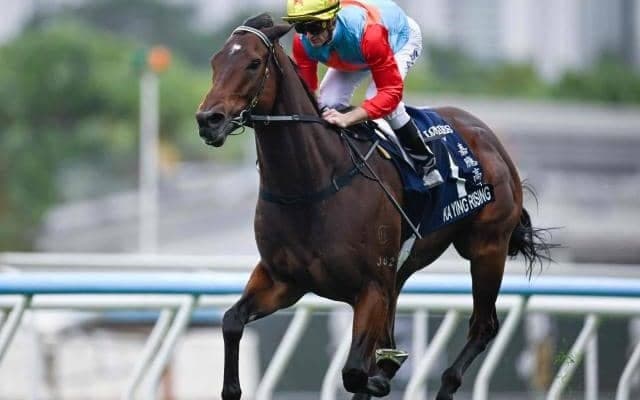 【香港スプリント結果】カーインライジングが圧倒的強さで16連勝＆連覇達成！ 