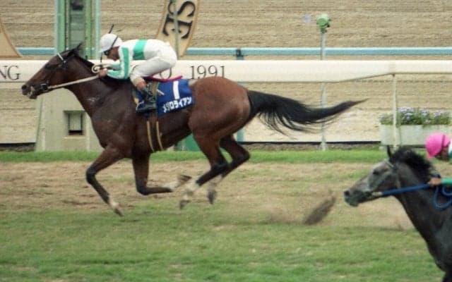 『ウマ娘』でも関係性が強いメジロマックイーンとの激闘　メジロライアンが徹底的な積極策でつかんだ待望の栄冠