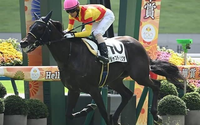 【ホープフルS】ジャスティンビスタ、アンドゥーリルらが登録