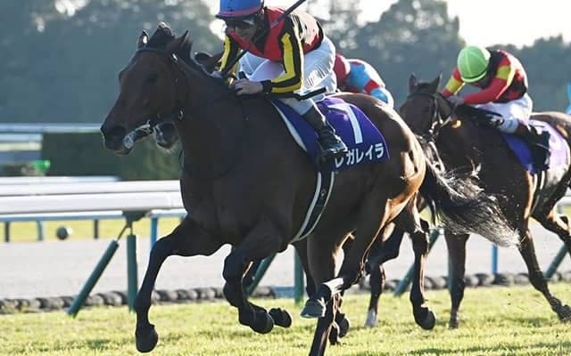 【有馬記念】レガレイラ、メイショウタバルらが登録