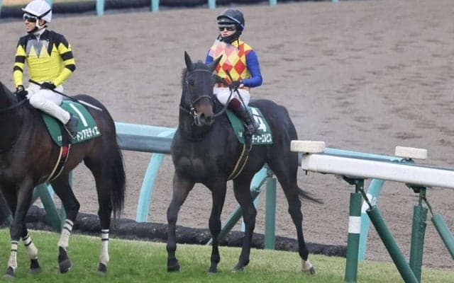 【カペラS】鮫島駿「本当に可能性を感じる」テーオーエルビスが4連勝