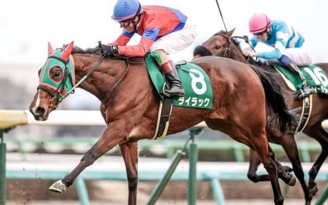 【有馬記念出走馬決定順】フルゲート16頭に対して22頭登録 ライラックなどが除外見込み