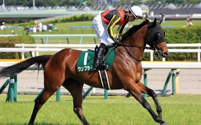 【ターコイズS見どころ】復調ムードのウンブライルが重賞初制覇を狙う
