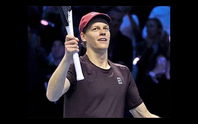  シナーら 慈善活動に尽力 