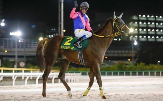 【先週のJRA抹消馬】JpnI・4勝のメイショウハリオ、22年ホープフルS覇者ドゥラエレーデなど