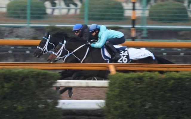 最終追い切りの動きにも注目 ダノンテムズが日曜阪神で初陣/関西馬メイクデビュー情報