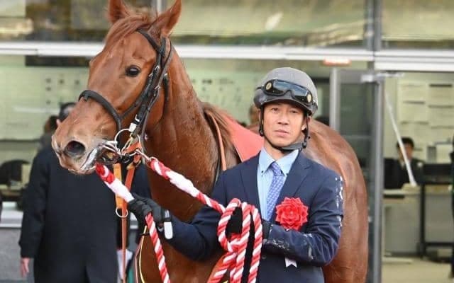 不安材料を跳ね除け2歳女王に ドレフォン産駒2頭目の芝GI馬となったスターアニス
