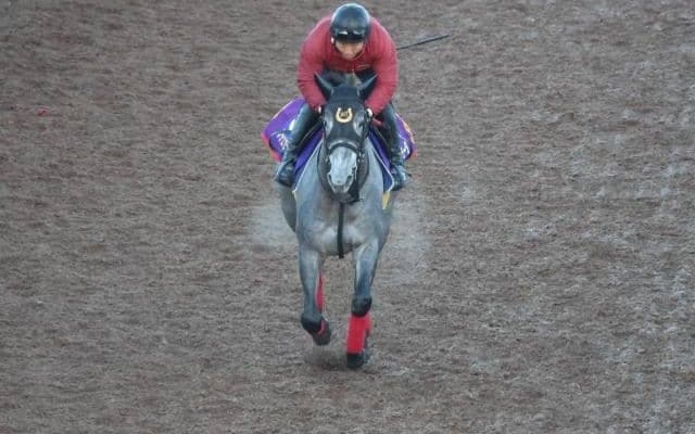 ノチェセラーダなど、先週の入厩情報/栗東トレセンニュース