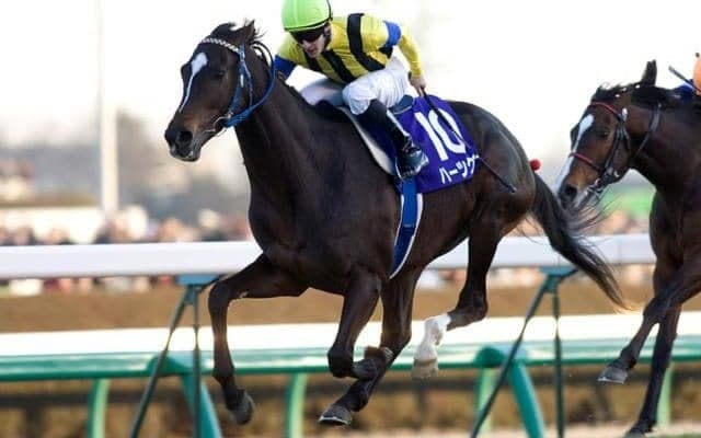 有馬記念の種牡馬別勝利数ランキング 世紀の大種牡馬はグランプリの記録にも名を刻む