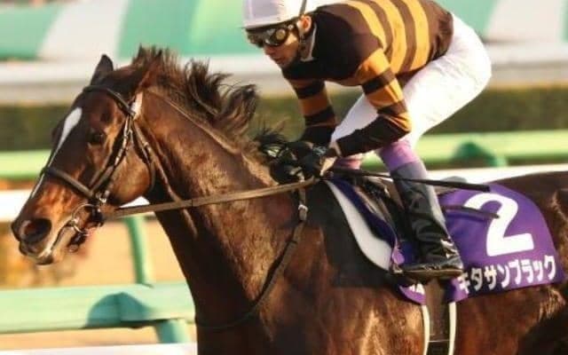 直近の日高生産馬による勝利 キタサンブラックが制した17年の有馬記念を回想
