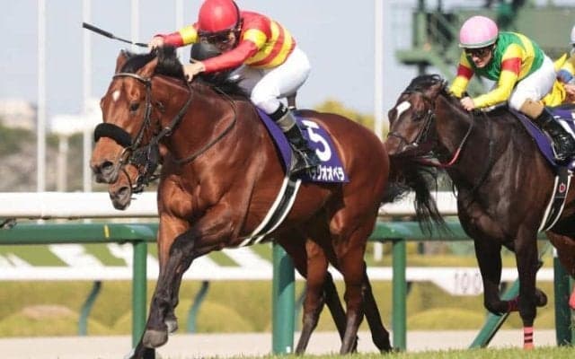 「爆弾を抱えたままこれ以上…」G1馬べラジオオペラ引退の背景にファン驚愕　「1つ間違えば」「これからはゆっくり穏やかに」