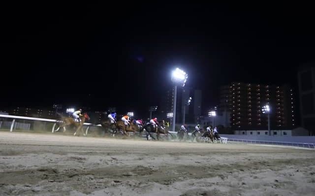 【川崎・全日本2歳優駿結果】JRAのパイロマンサーが無傷3連勝で戴冠