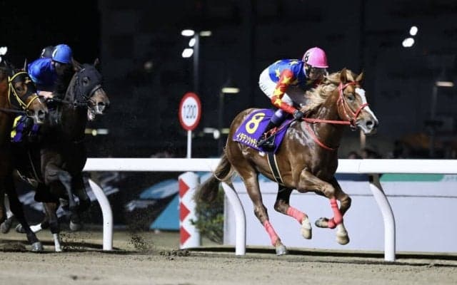 【全日本2歳優駿】武豊「距離も短い方がいいかも」イダテンシャチョウは軽快に逃げるも8着敗退