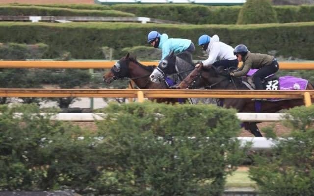 ラヴェニュー、ホープフルS1週前追い切り速報/栗東トレセンニュース